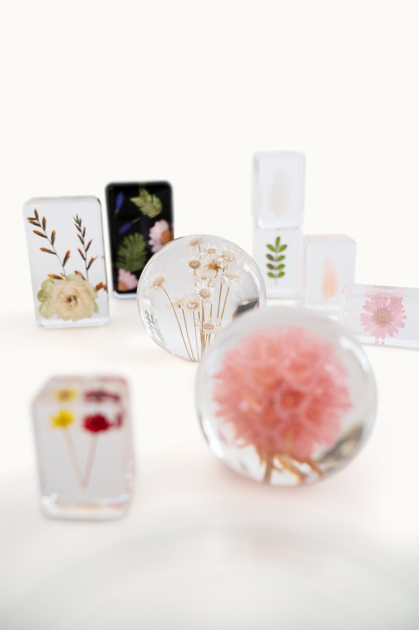 Flower Cube Small | Pink Lagurus vom KONVOLUT