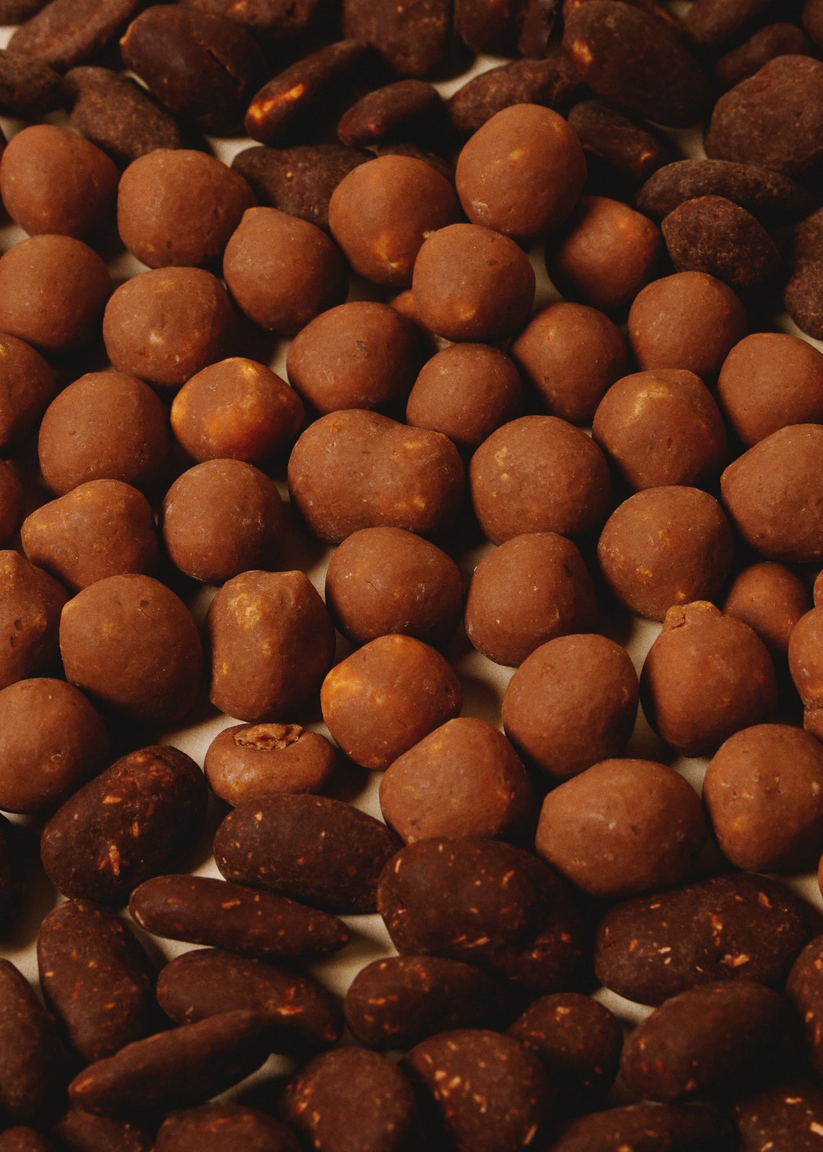 Choconuts Schoko-Nüsse | Meurisse