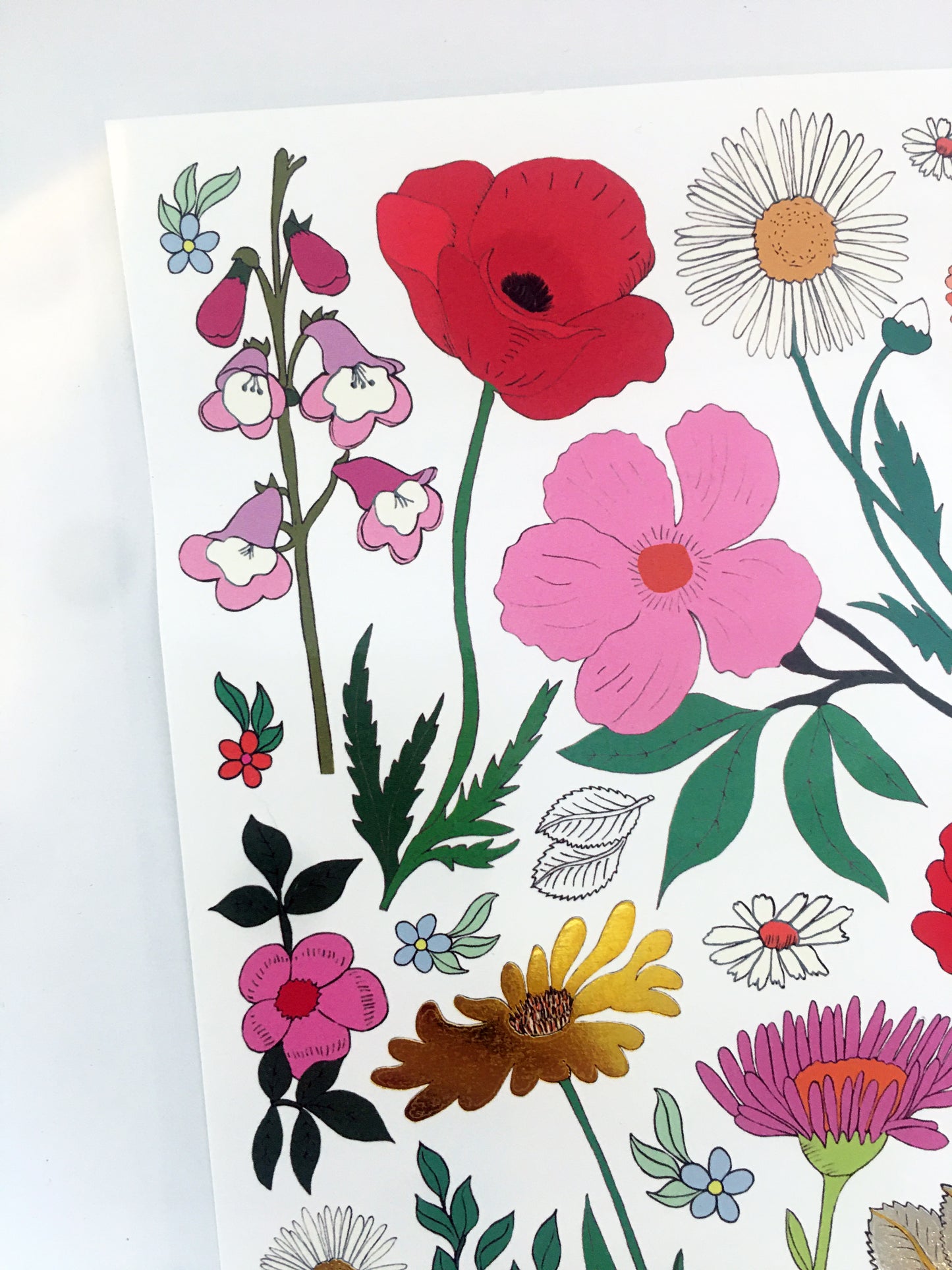 Temporäre Tattoos Flowers | Handgezeichnet von Rosie Wonders