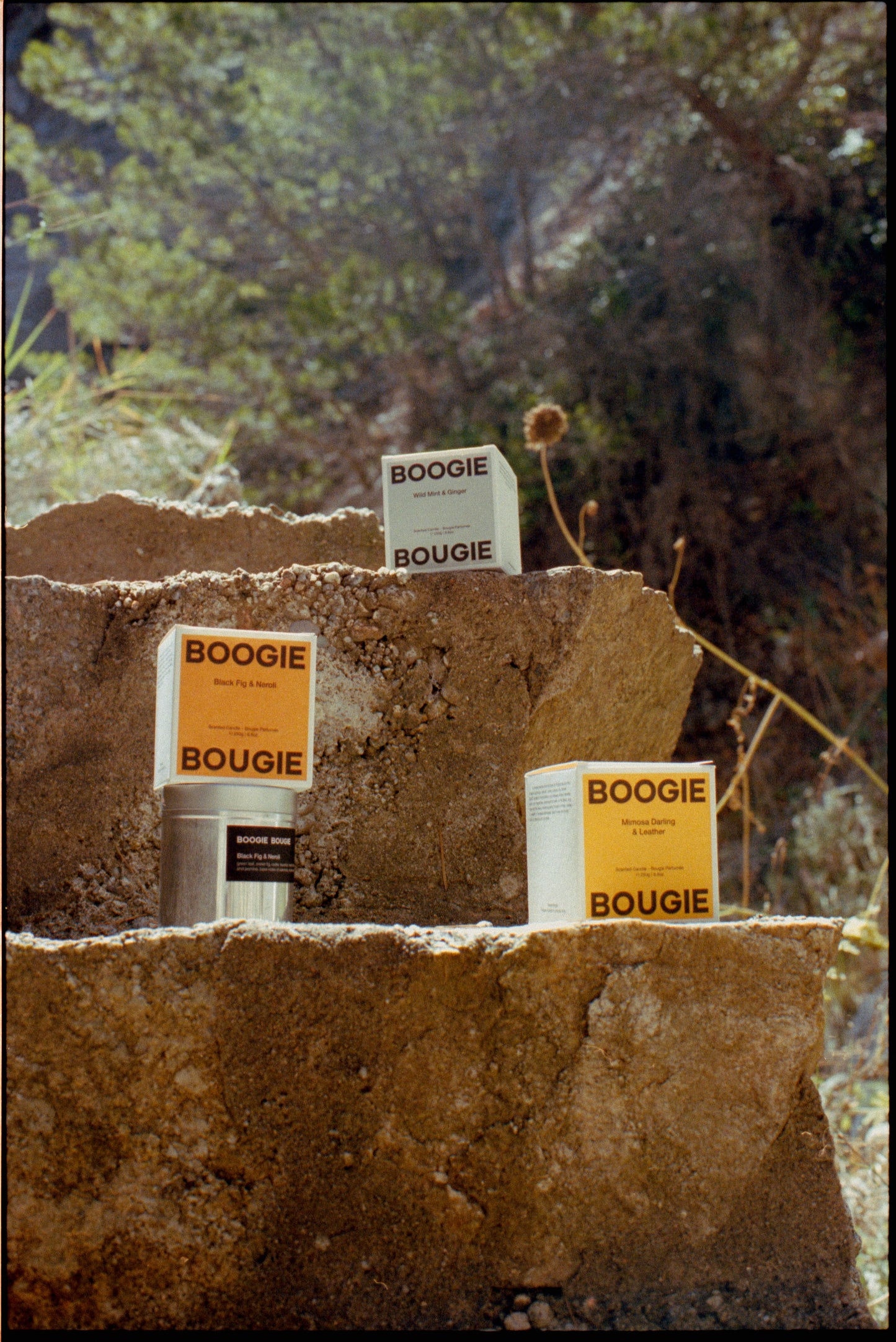 Duftkerze | Wild Mint & Ginger von Boogie Bougie