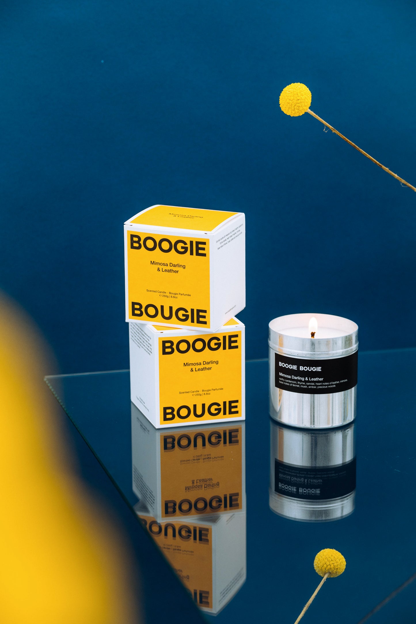 Duftkerze | Mimosa Darling & Leather von Boogie Bougie