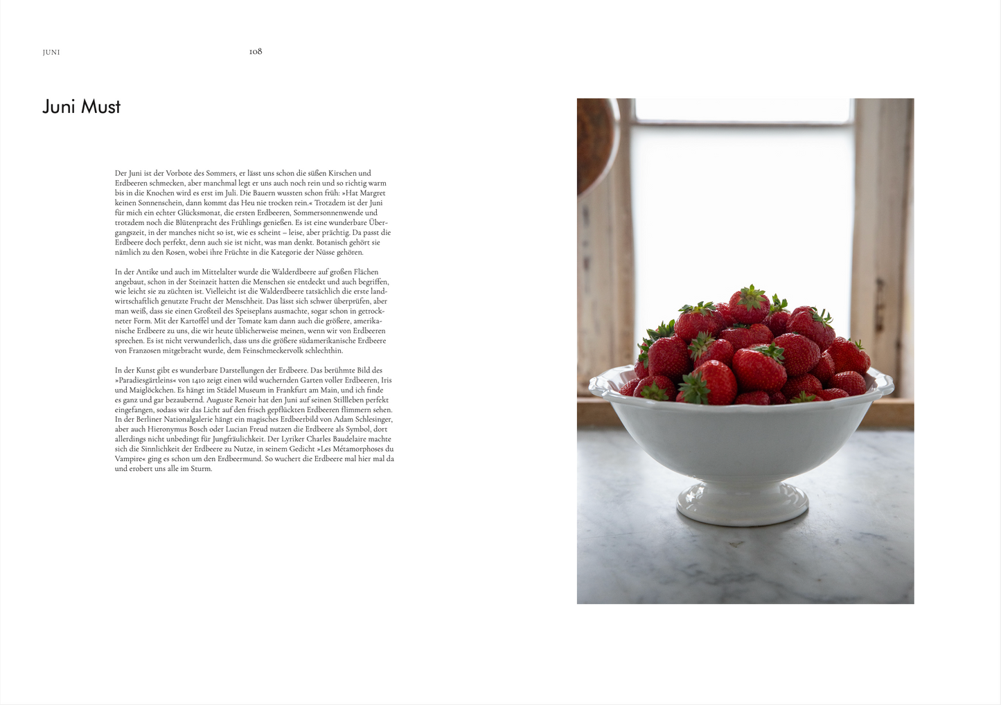 Buch Sommer | Saint John Studio