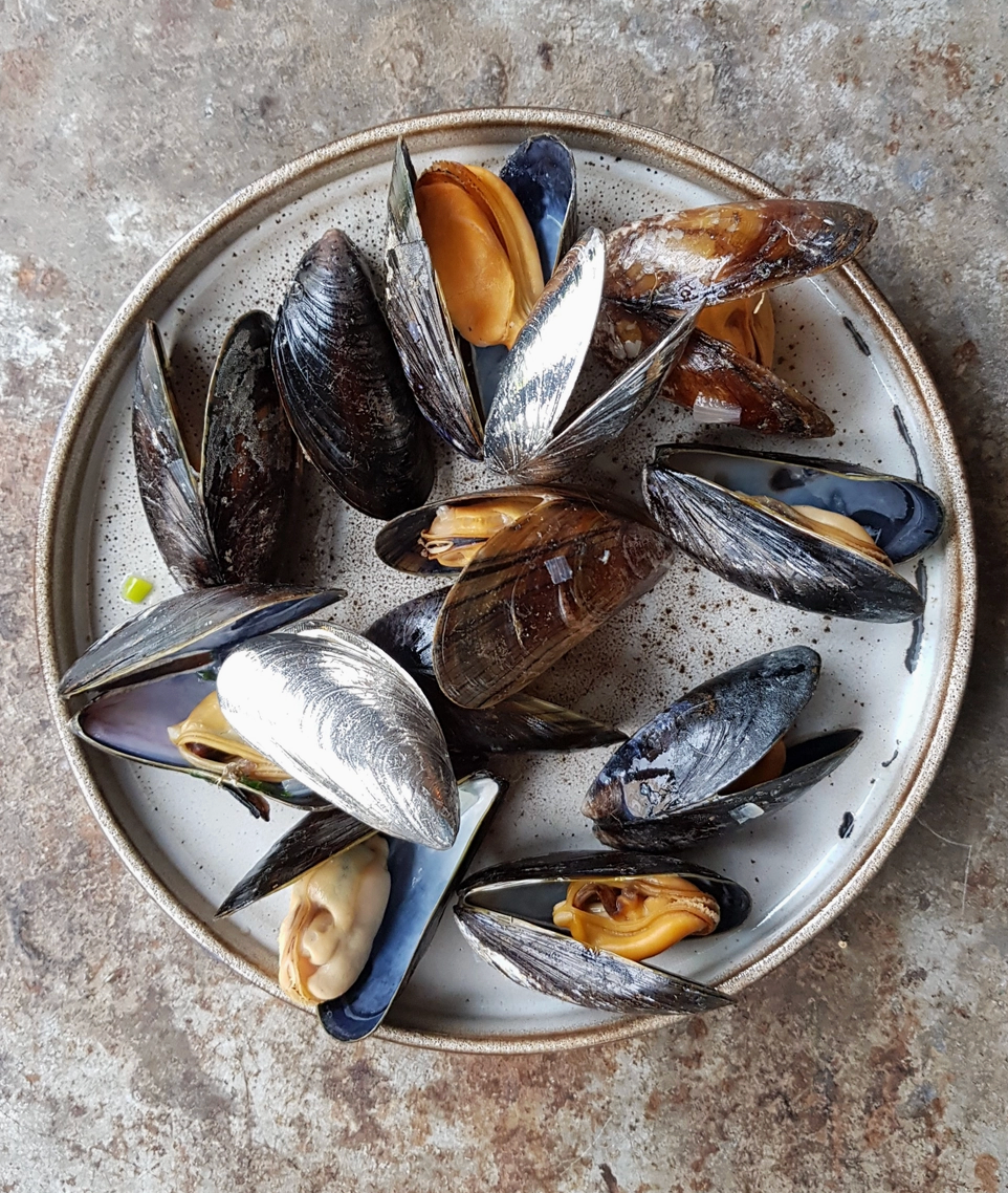 Muschelbesteck 2er-Set | Handgefertigtes Zinn von Anovi