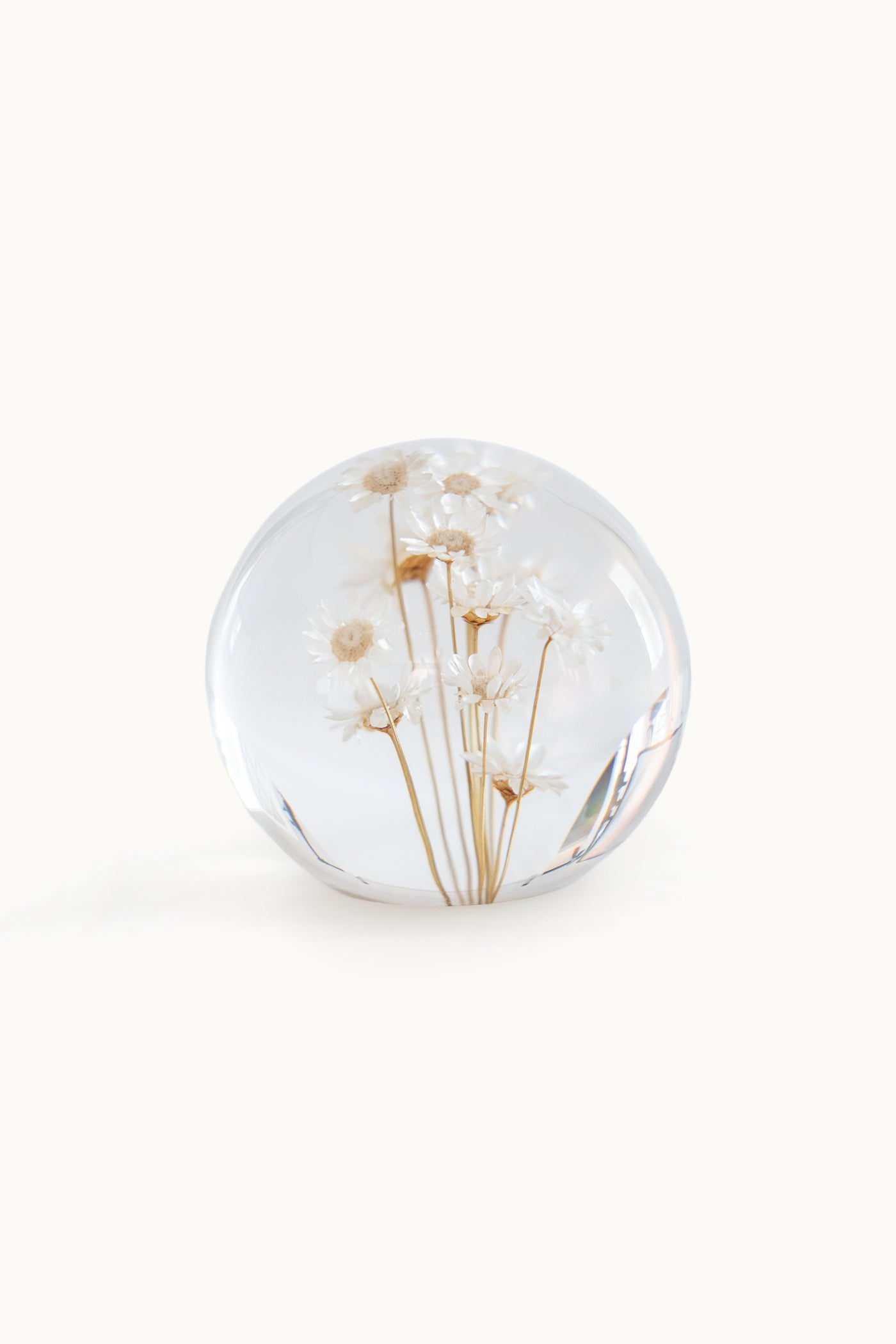 Flower Ball | White Brazil Star Flowers vom KONVOLUT
