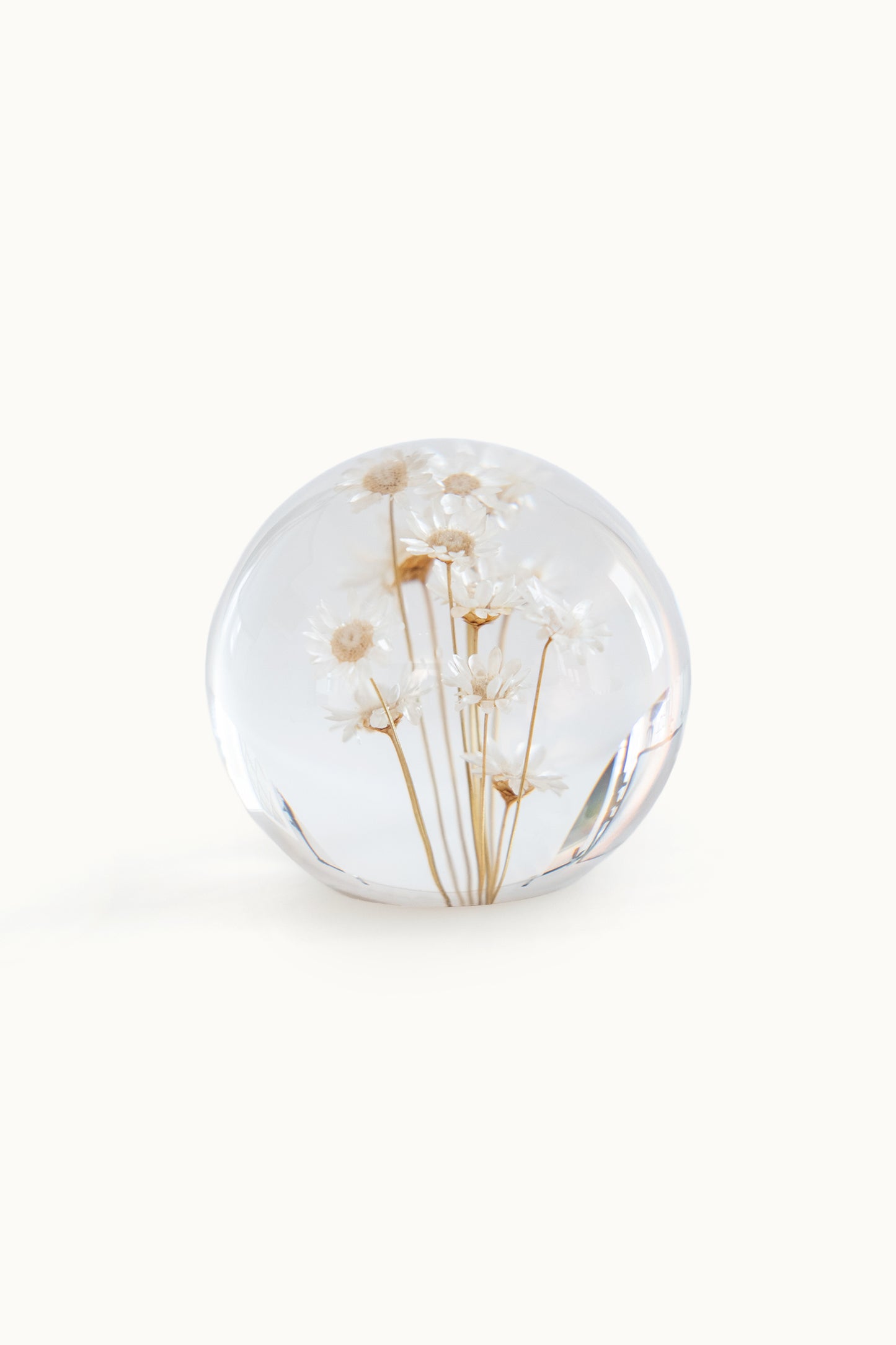 Flower Ball | White Brazil Star Flowers vom KONVOLUT