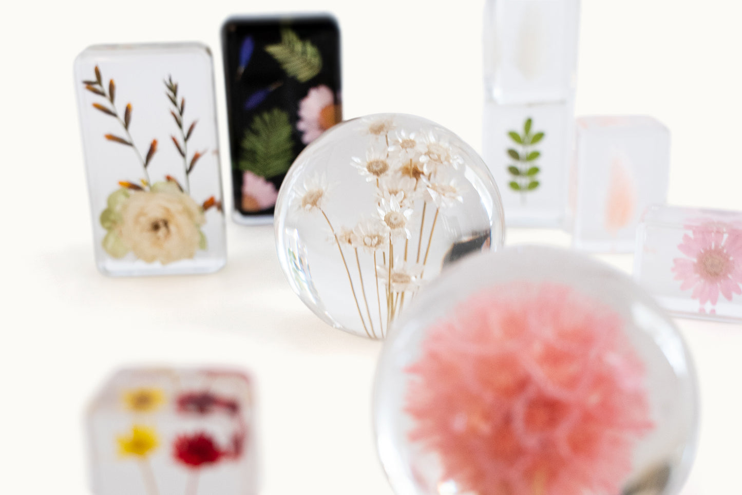 Flower Ball | Pristimera Cambodiana Pink vom KONVOLUT