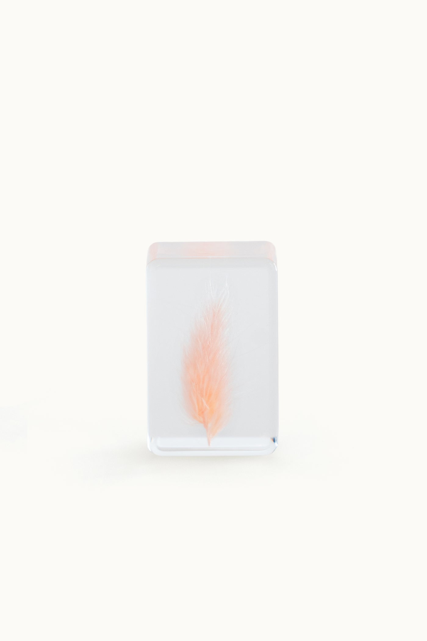 Flower Cube Small | Pink Lagurus vom KONVOLUT