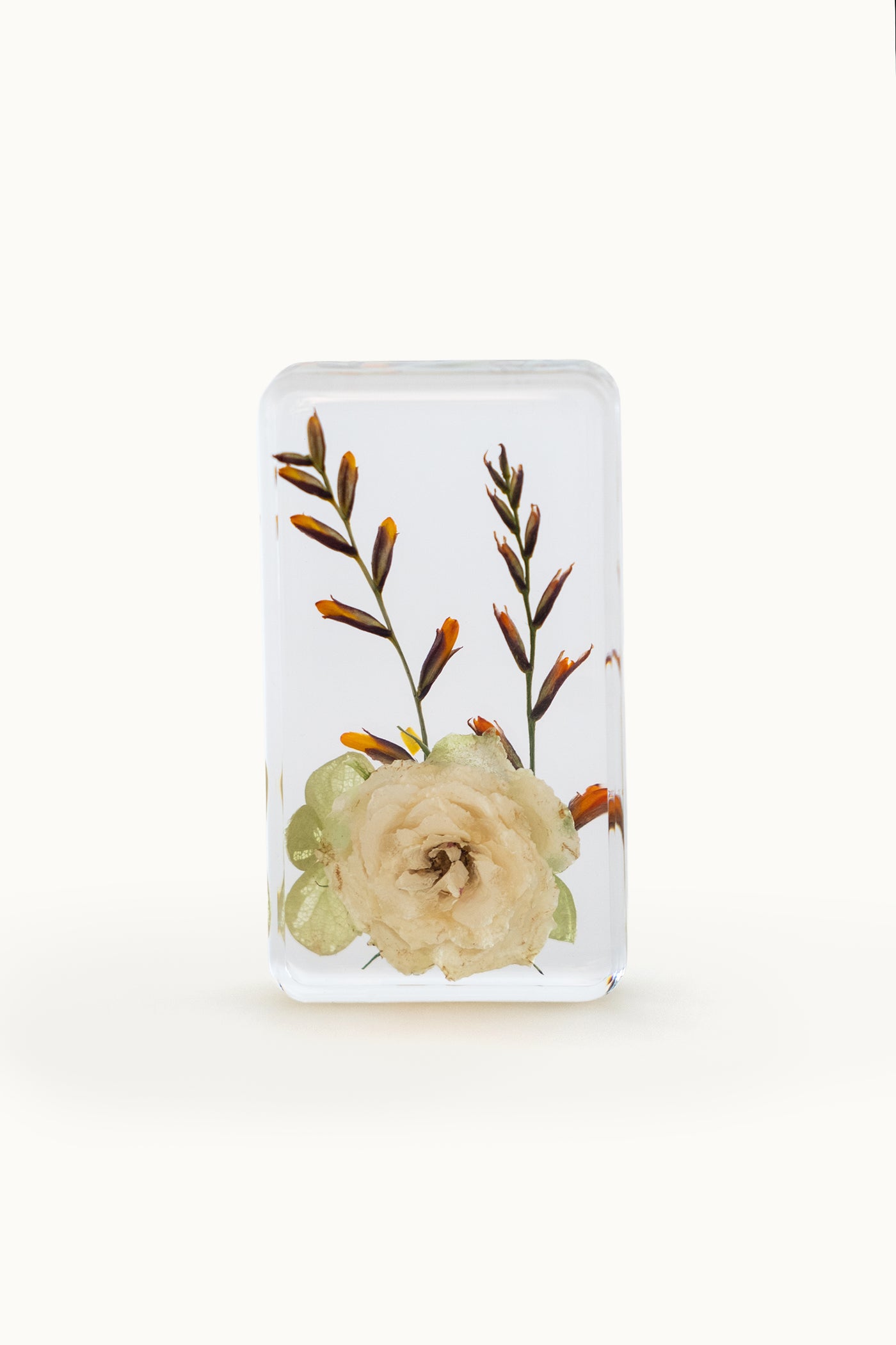 Flower Cube Large | White Rose & Hydrangea vom KONVOLUT