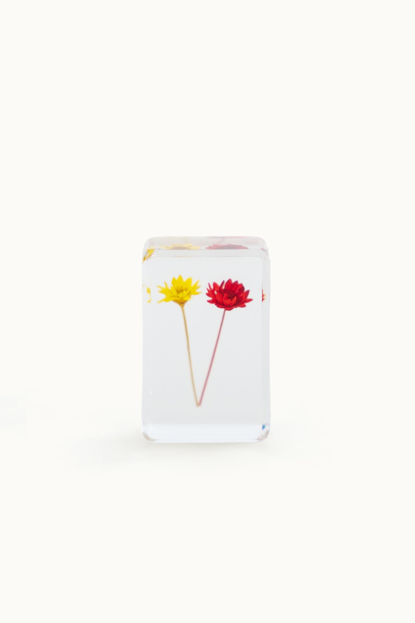 Flower Cube Small | Brazilian Flowers Red & Yellow vom KONVOLUT