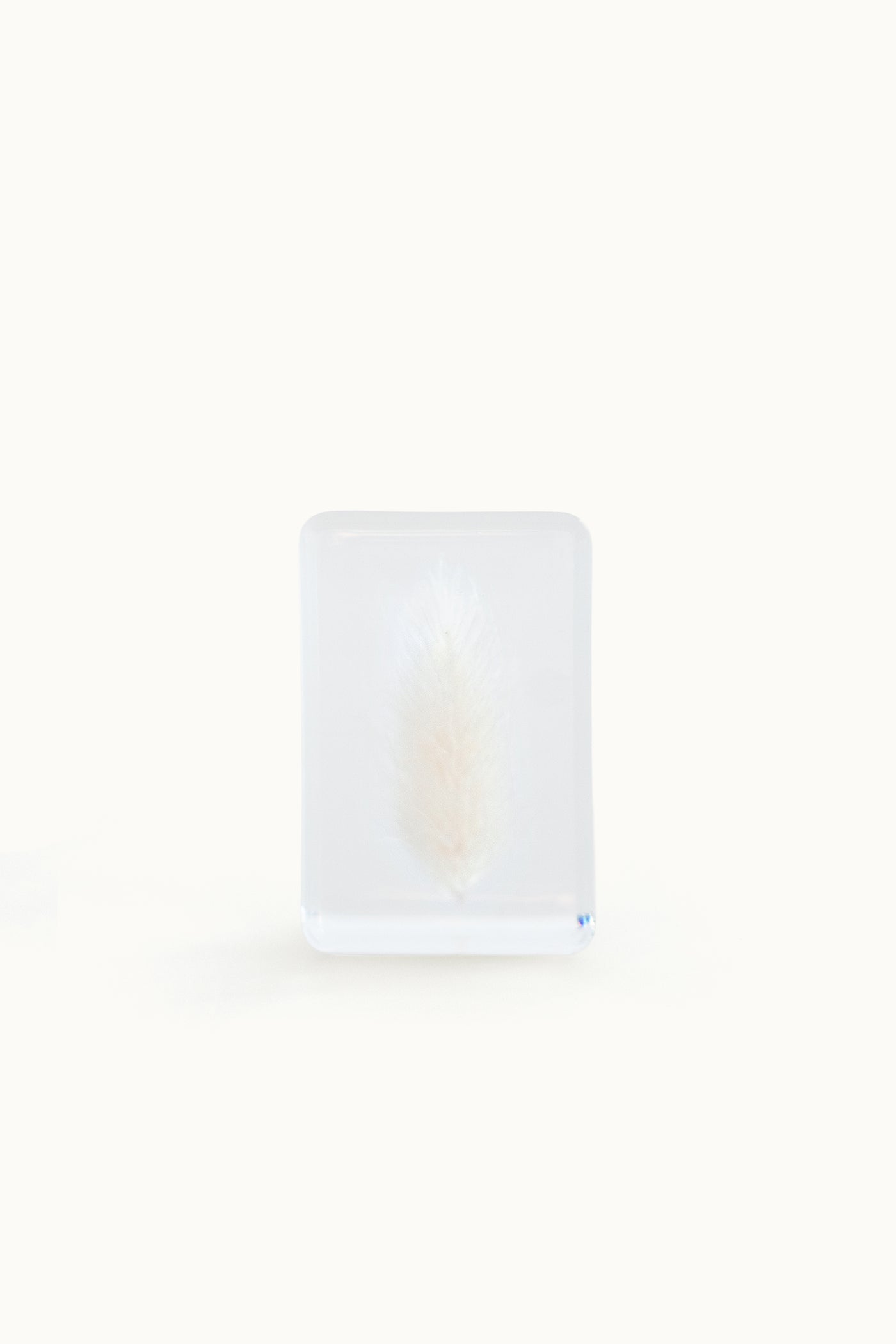 Flower Cube Small | White Lagurus vom KONVOLUT