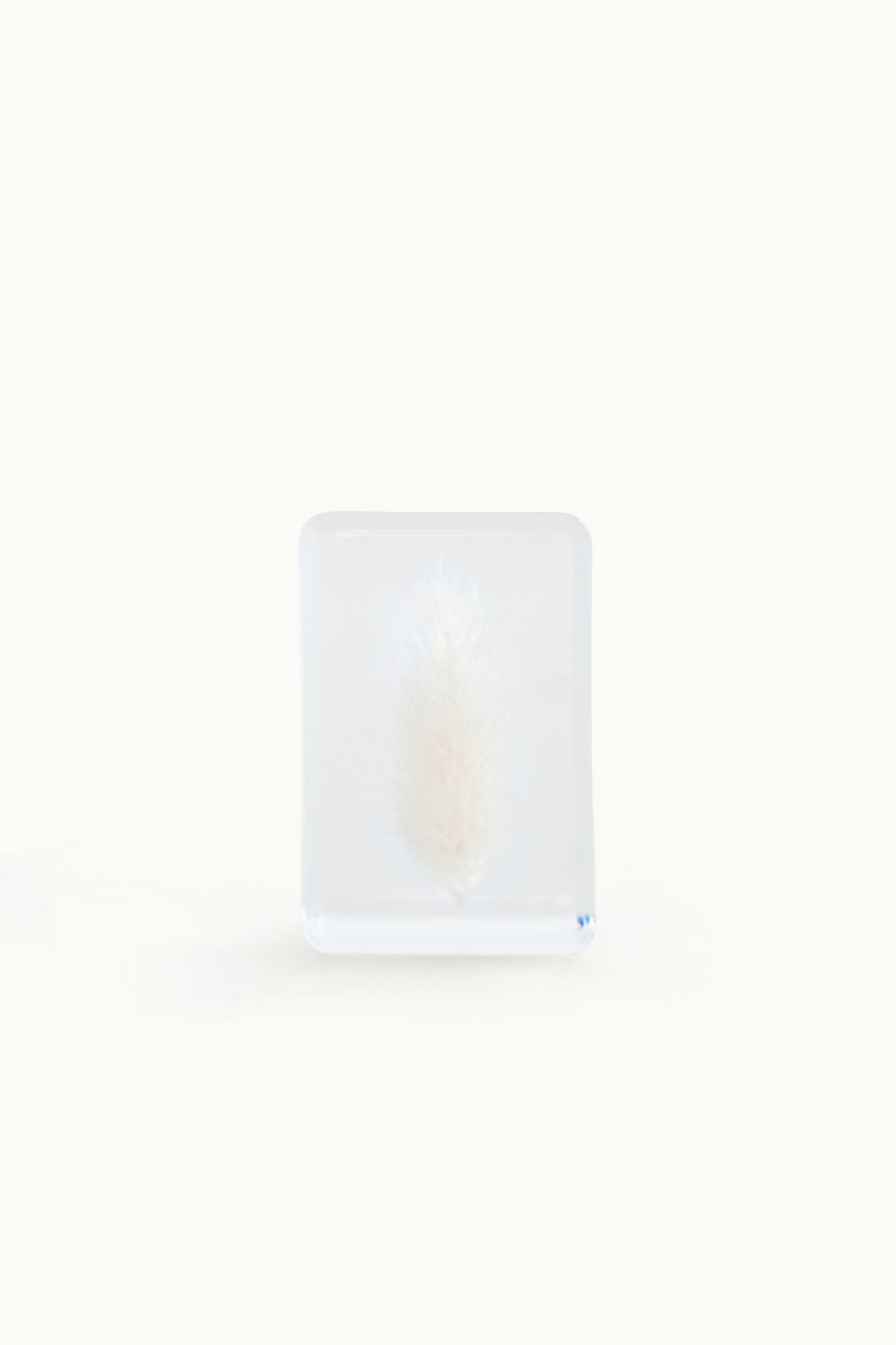 Flower Cube Small | White Lagurus vom KONVOLUT