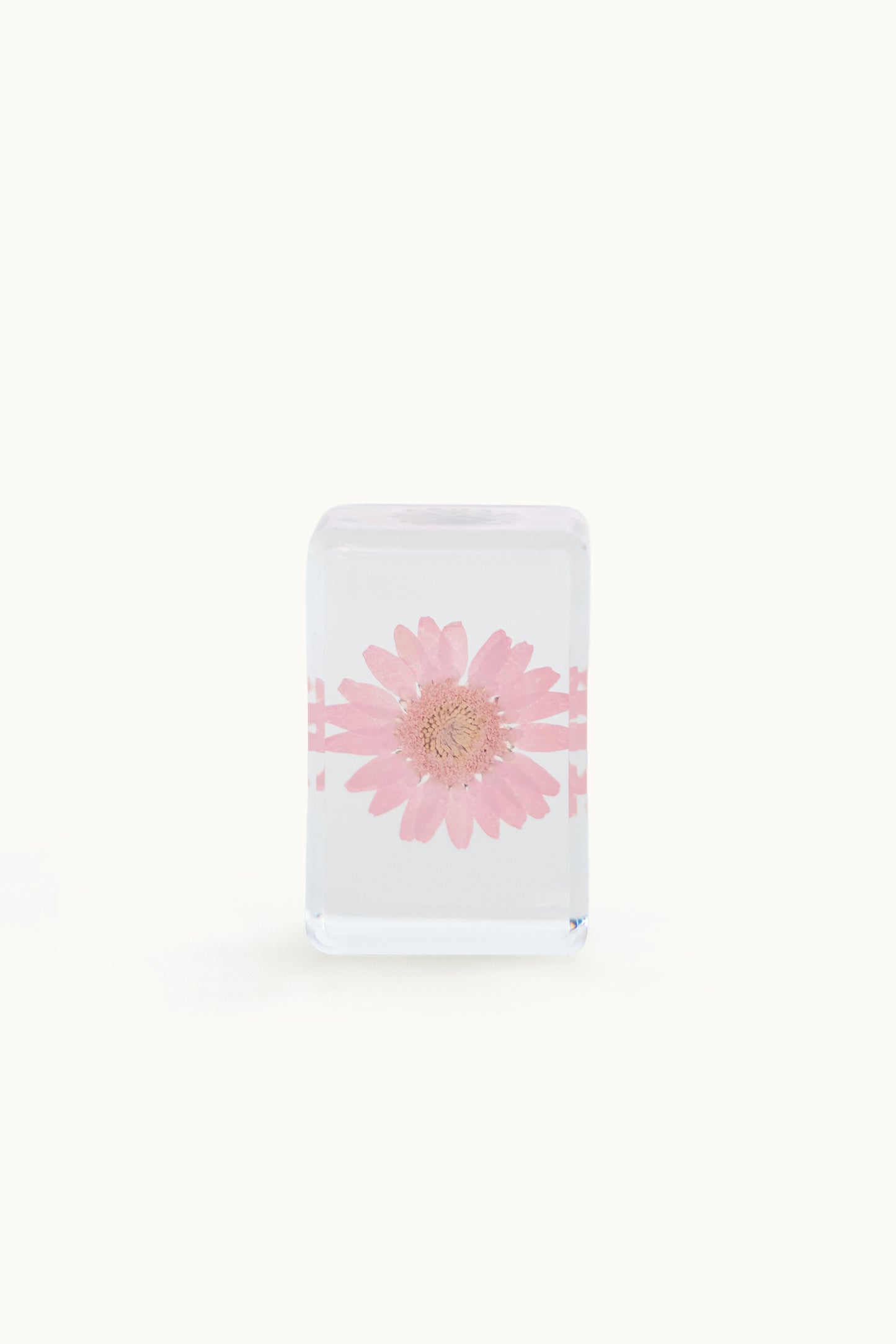 Flower Cube Small | Pink Daisy vom KONVOLUT