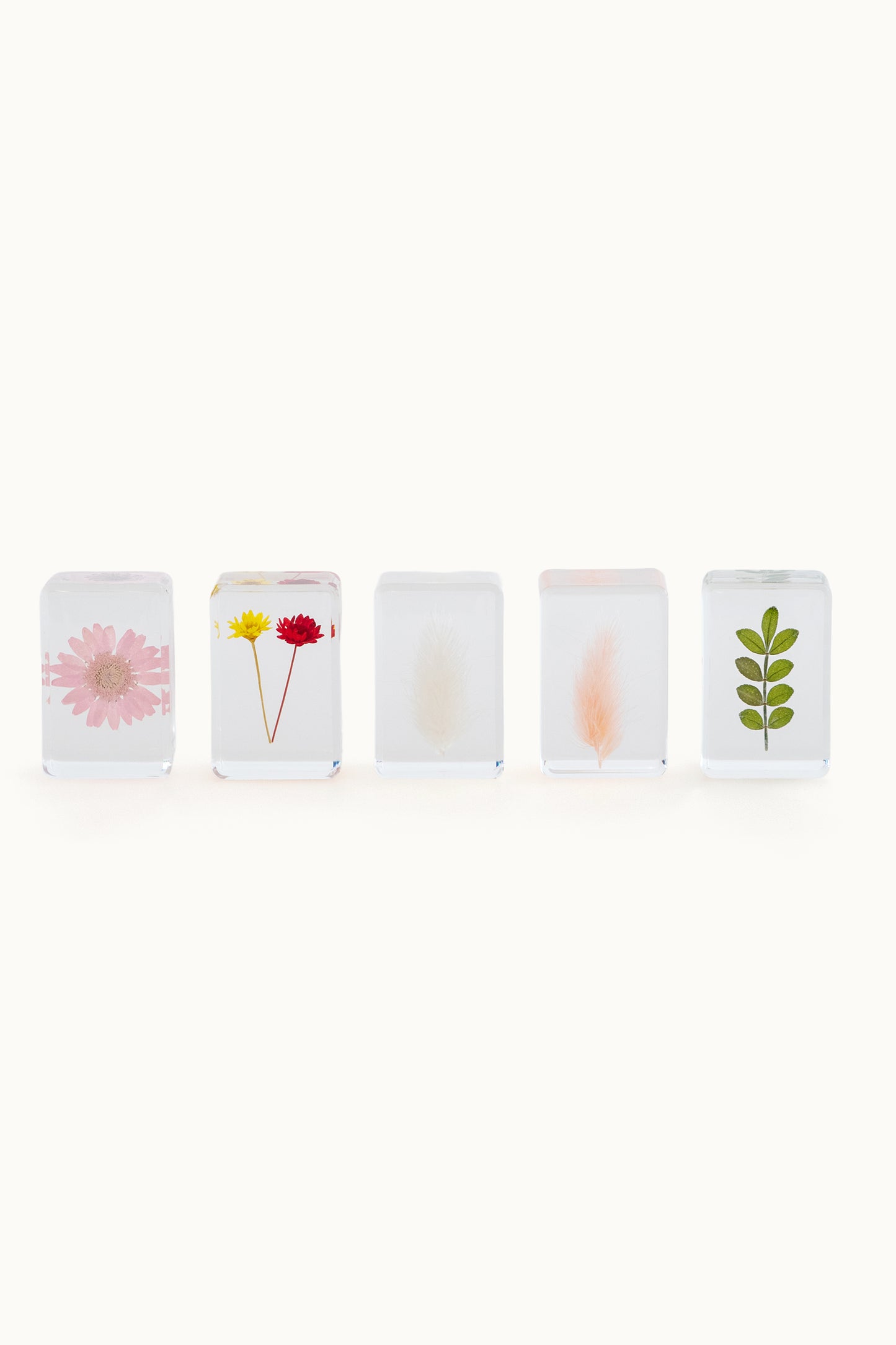 Flower Cube Small | Pink Daisy vom KONVOLUT