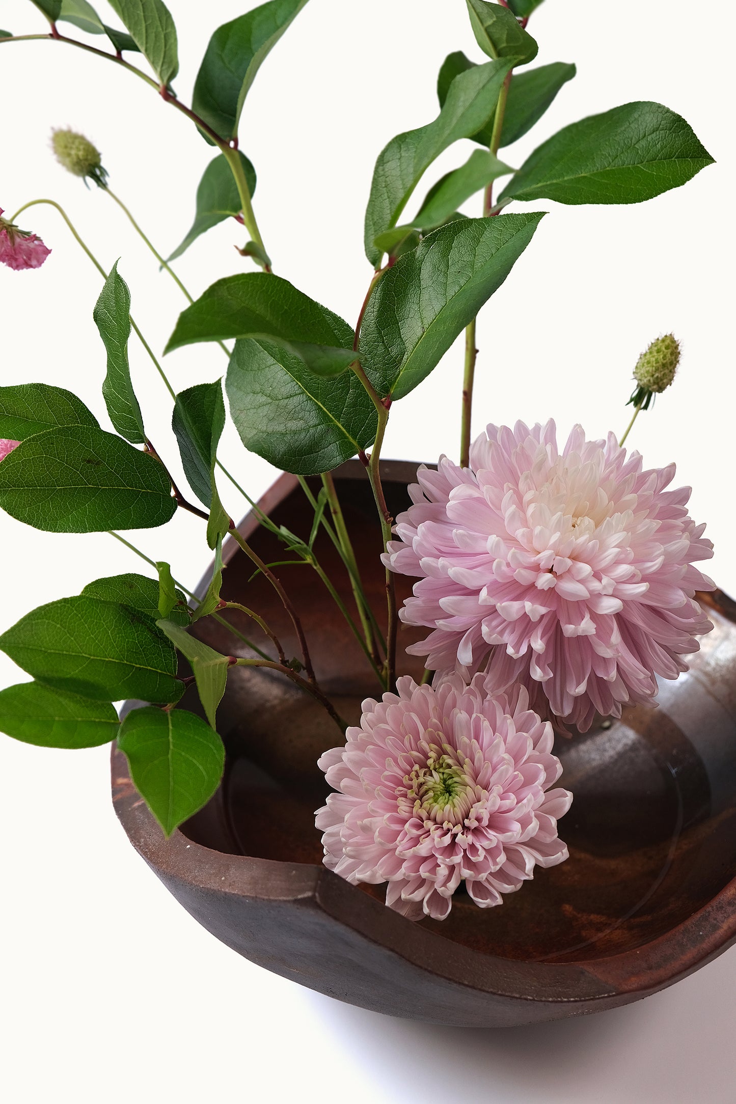 Ikebana Kenzan M aus Japan