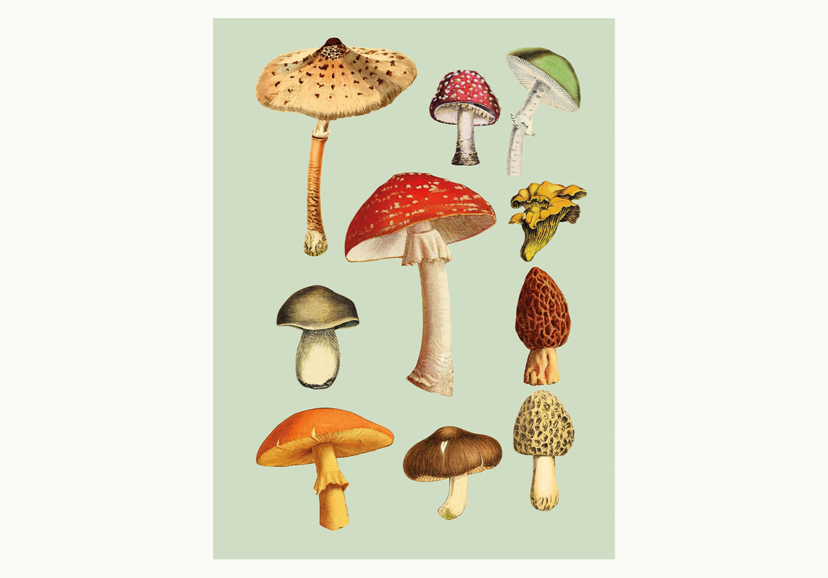 The Antiquarian Sticker Book | Über 1.000 viktorianische Sticker