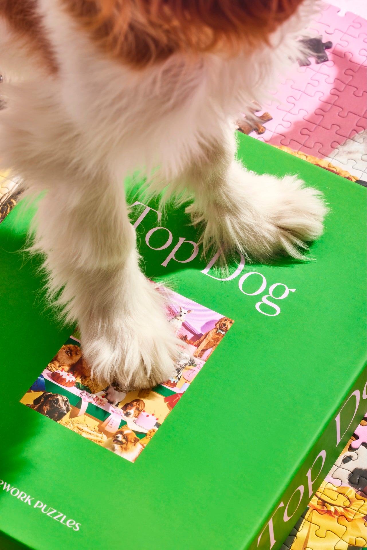 Top Dog | Piecework Puzzle | 1000 Teile